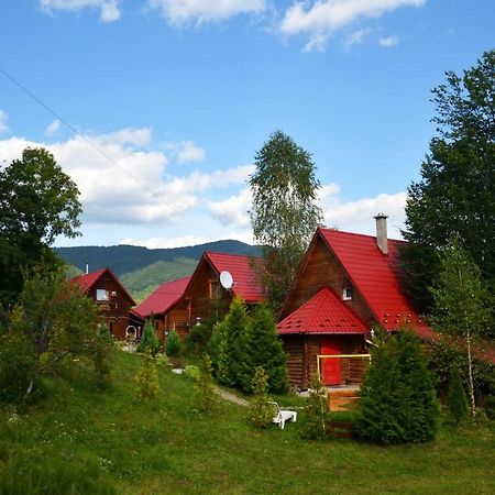 Teremok Guest House Vyshka Dış mekan fotoğraf