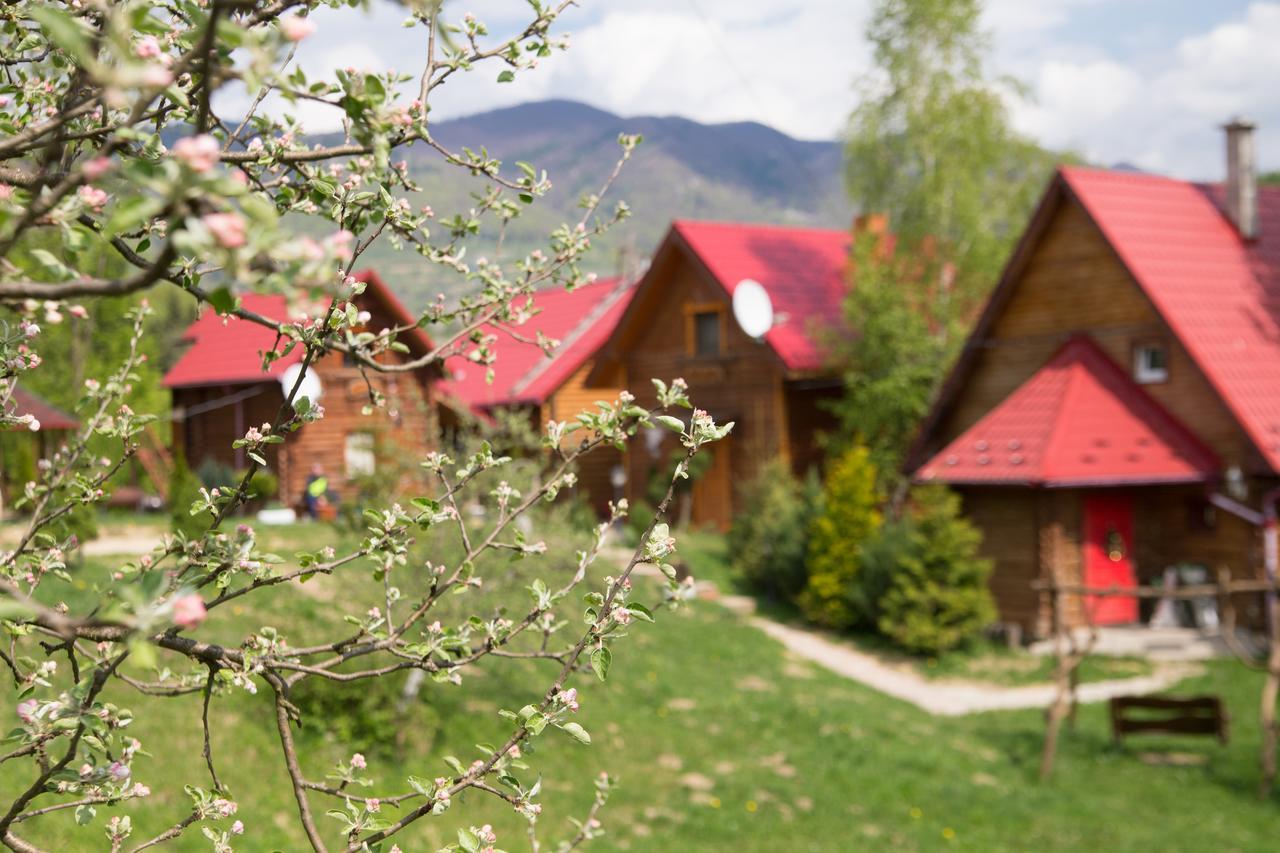 Teremok Guest House Vyshka Dış mekan fotoğraf