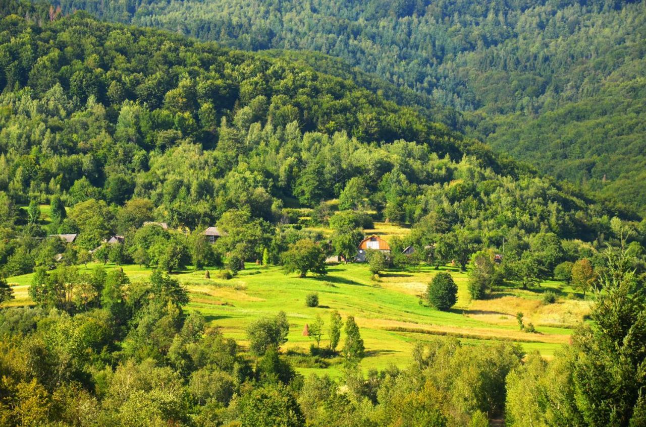 Teremok Guest House Vyshka Dış mekan fotoğraf