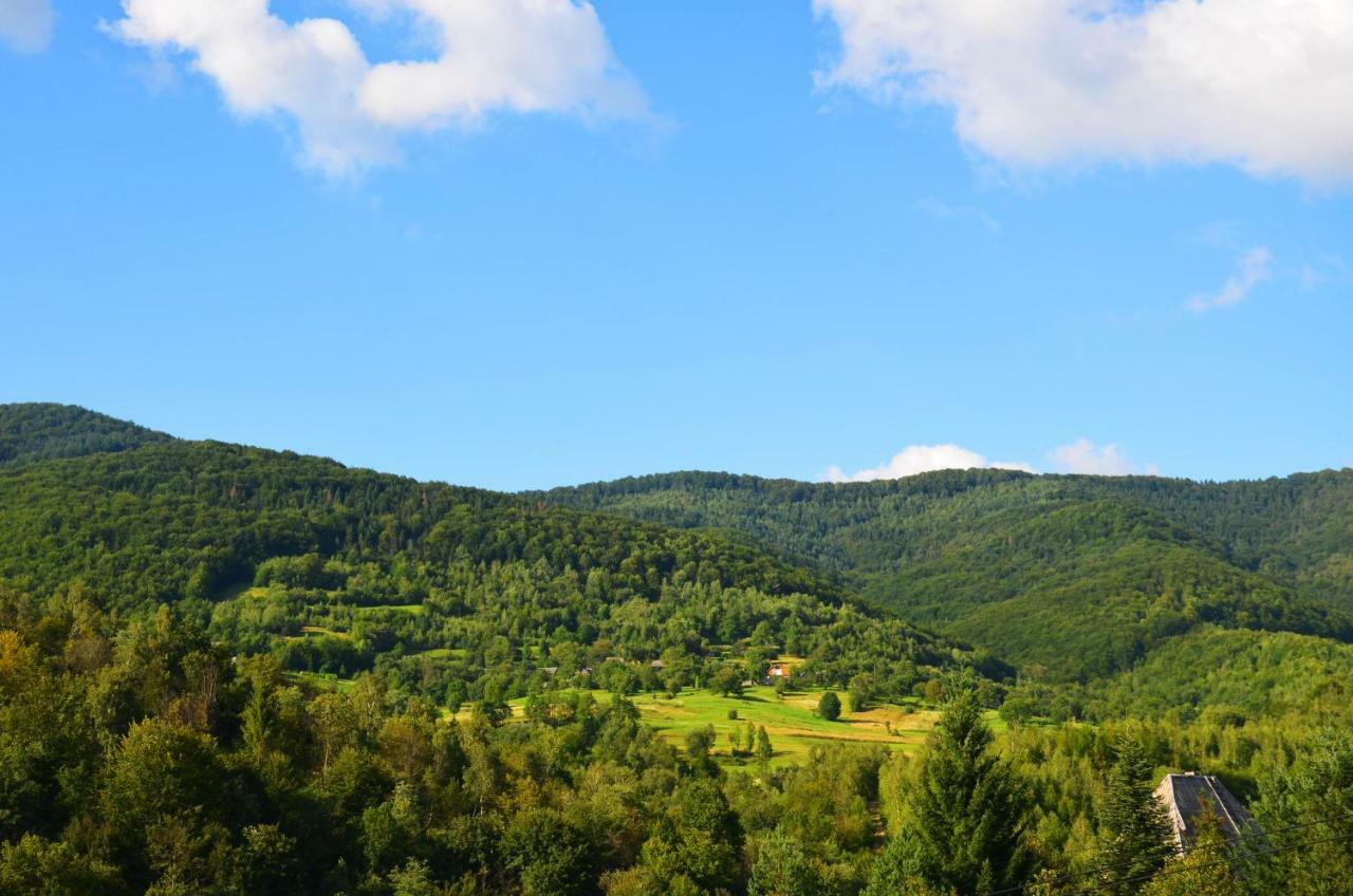 Teremok Guest House Vyshka Dış mekan fotoğraf